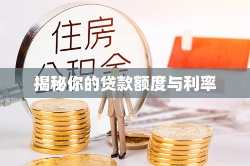 神冈揭秘你的贷款额度与利率